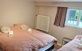 Singasteinn Guesthouse